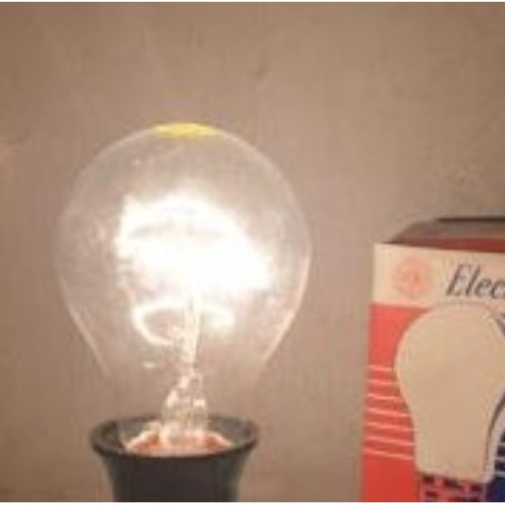 Pemanas Bohlam 15 Watt untuk Mesin Tetas Telur MTTU