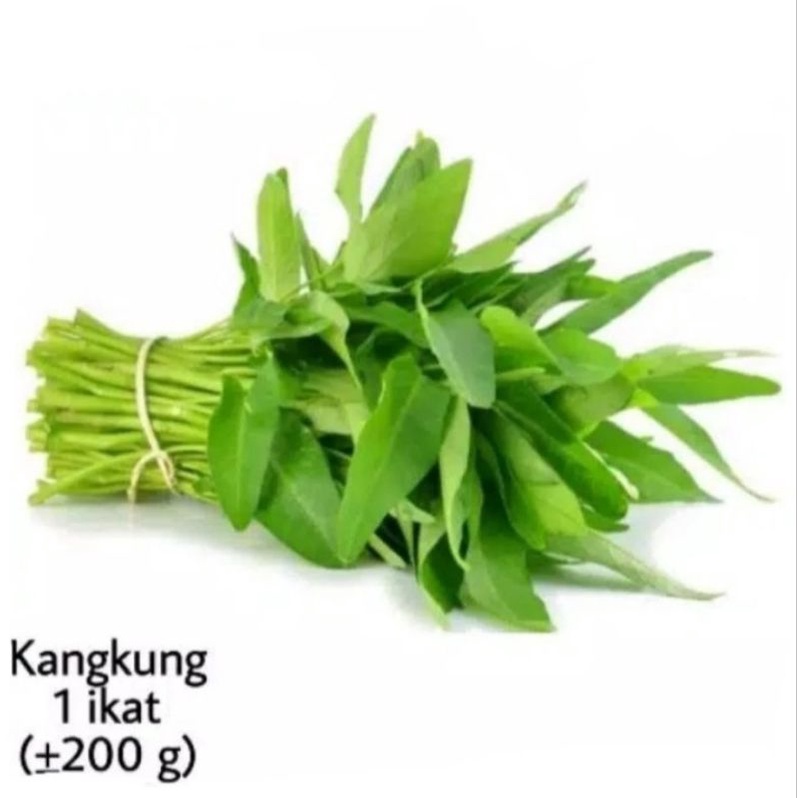 

kangkung / sayur kangkung 1 ikat