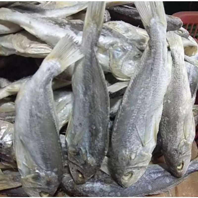 

Ikan Asin Kepala Batu Asli Medan 1 kg