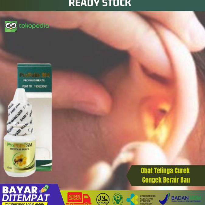 

BISA COD Obat Telinga Curek Congek Berair Bau Propolis SM Brazil /OBAT TELINGA BERDENGUNG/OBAT TELINGA BERAIR/OBAT TELINGA TERSUMBAT/OBAT TELINGA BUDEG/OBAT TELINGA BERNANAH