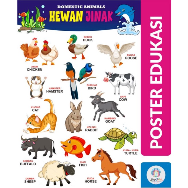 

POSTER EDUKASI ANAK SD/TK/PAUD