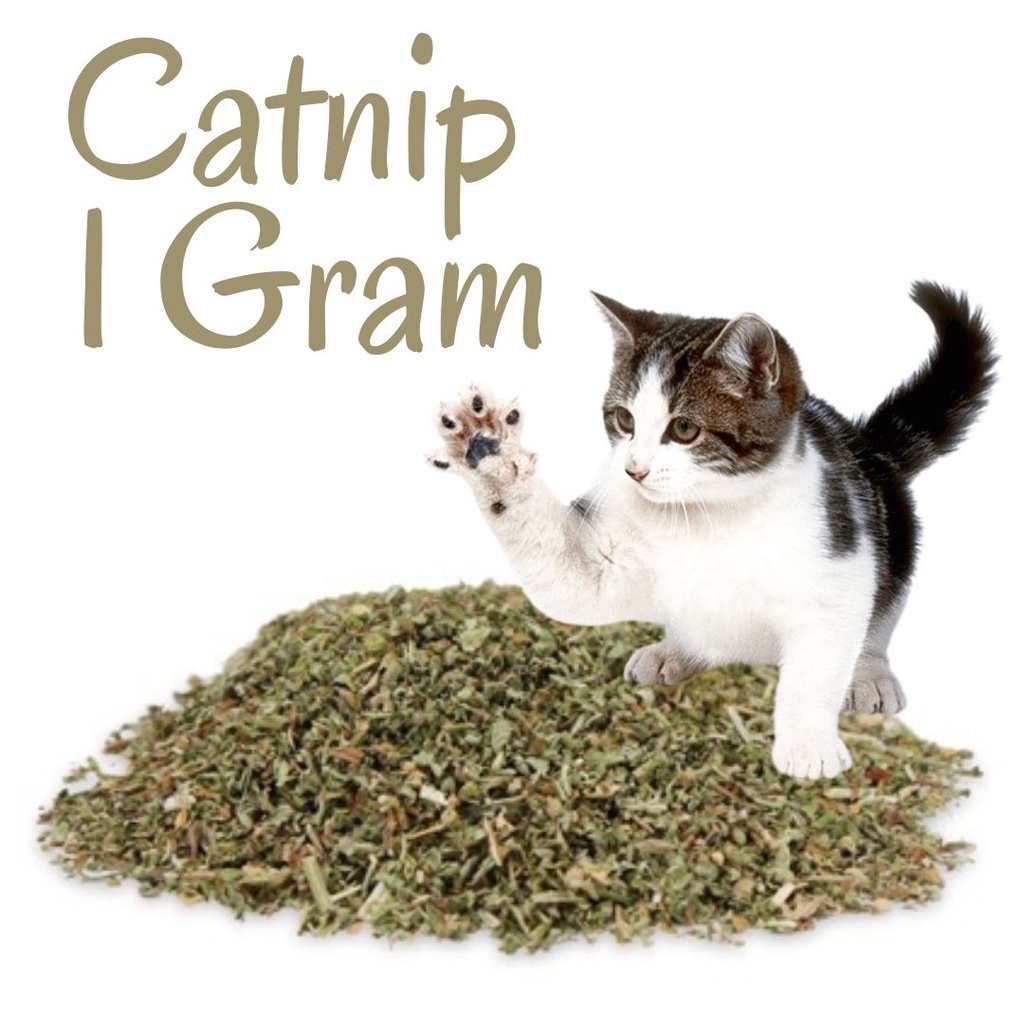 Daun Catnip Bubuk Sachet untuk Kucing 1 Gram FEFARM