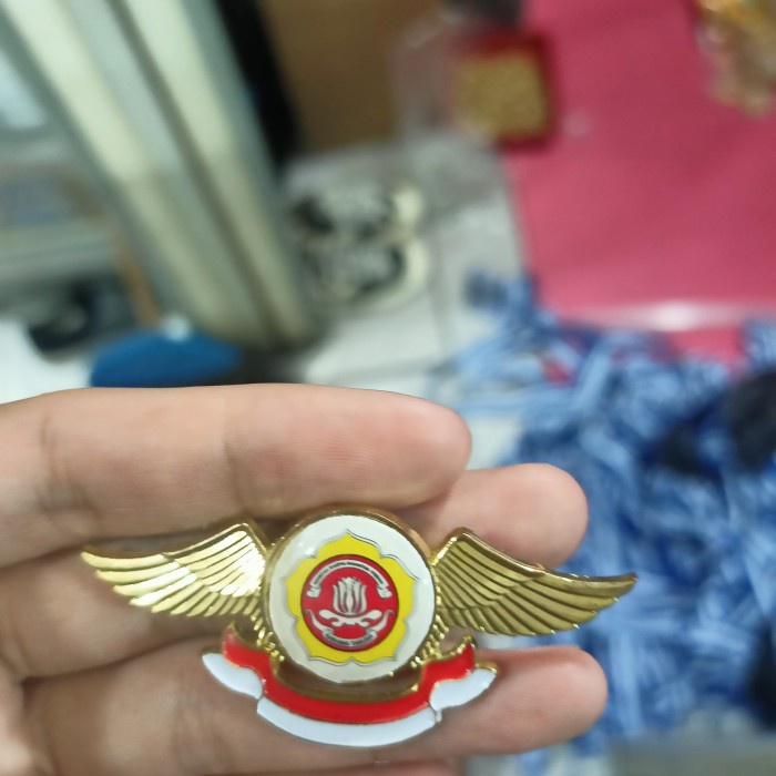 Pin Pin Karang Taruna Terbaru