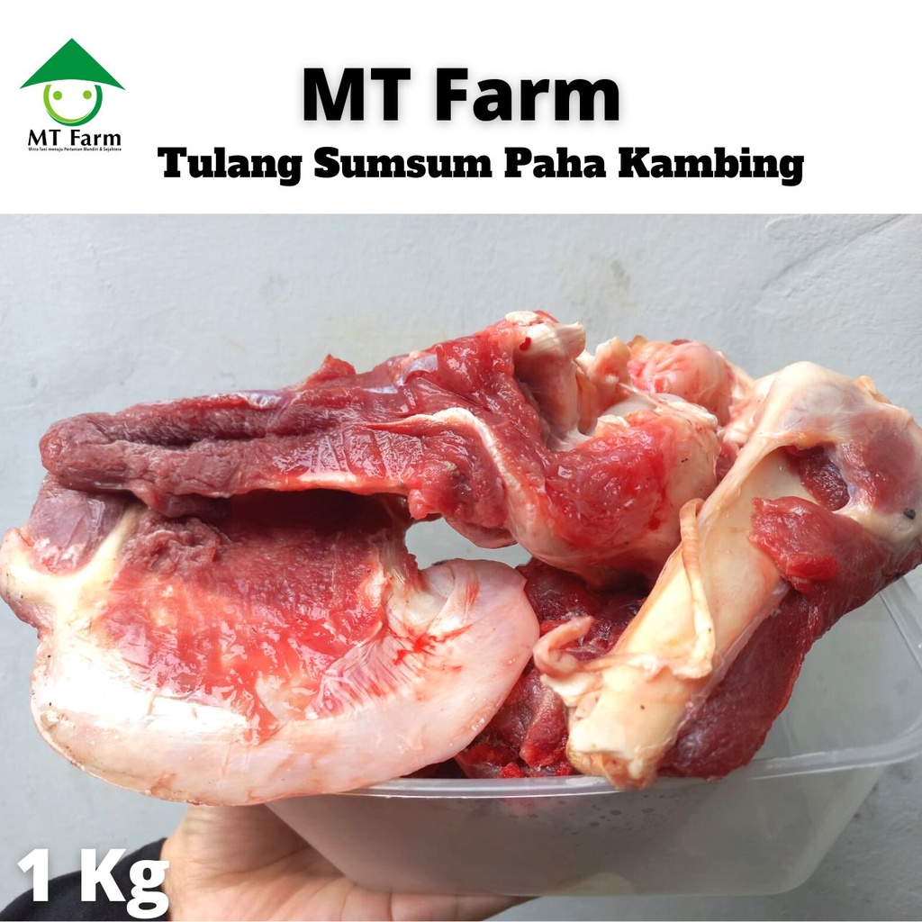 

Tulang Daging Sumsum Paha Kambing Domba Muda 1 Kg