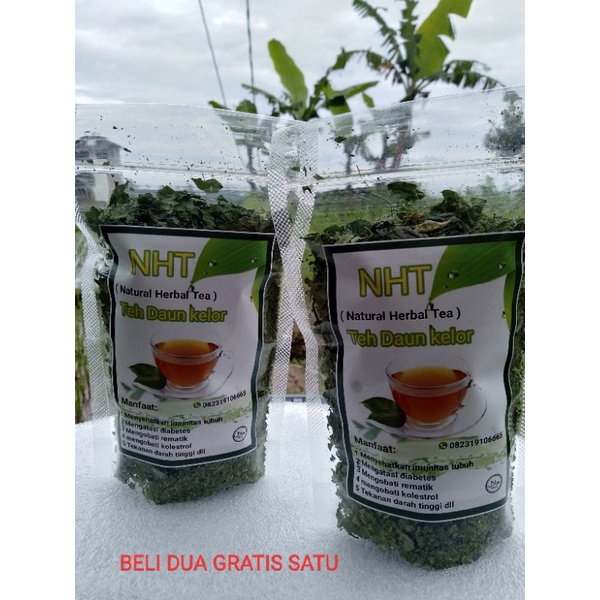 

teh herbal daun kelor