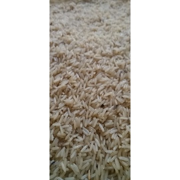 Telur Jangkrik TJ PERANGSANG IKAN MAS