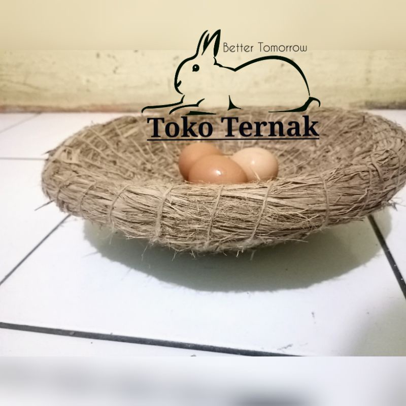 Tarangan jerami/Tempat bertelur ayam