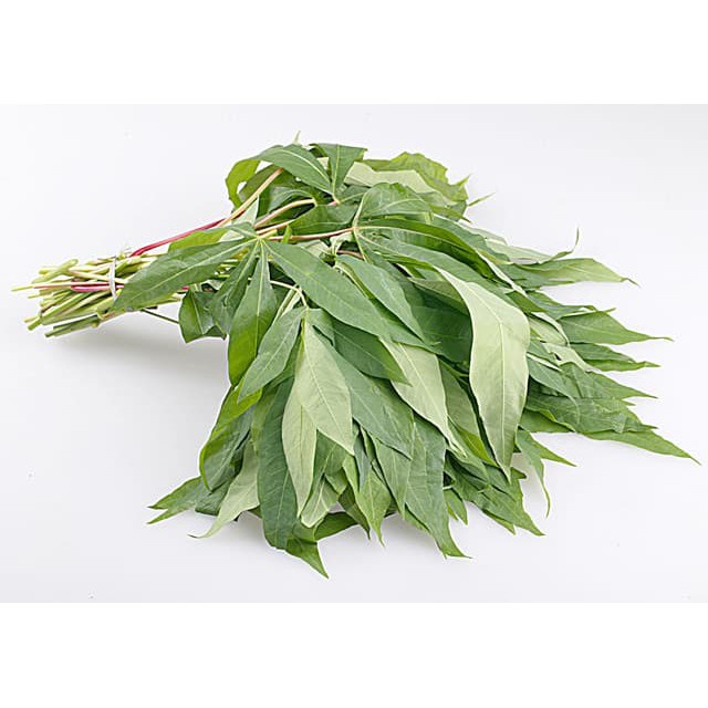 FCW - Daun Singkong Per Ikat (100gr-+)