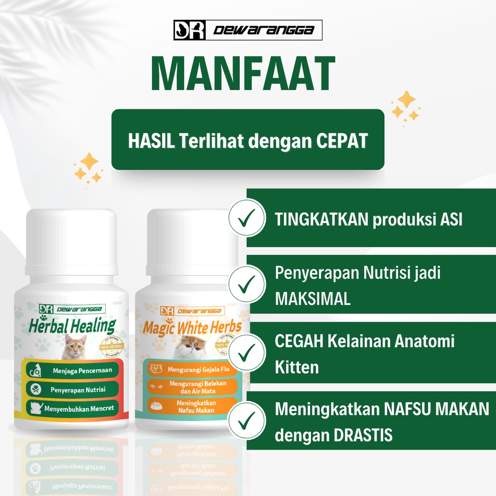 Dewarangga Paket Vitamin Kucing HAMIL &amp; MENYUSUI untuk Meningkatkan Produksi ASI, Mencegah Kelainan Anatomi Kitten, Memaksimalkan Penyerapan Nutrisi Kitten &amp; Induk