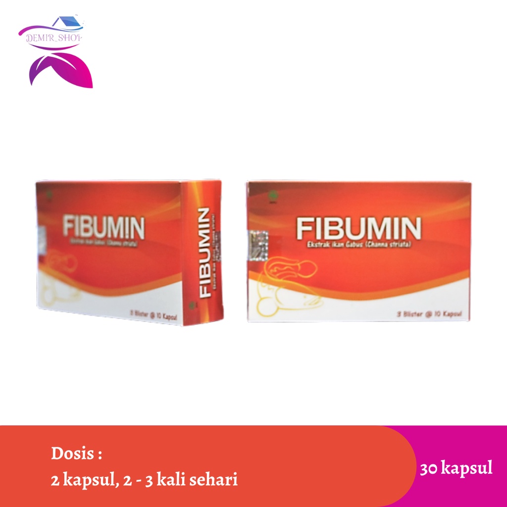 Fibumin Kapsul Ekstrak Ikan Gabus Albumin