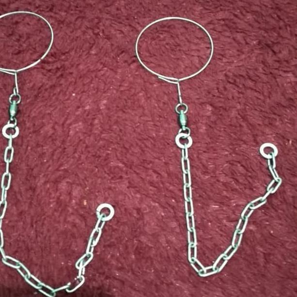 RANTAI AFGREY / MACAW / KAKATUA