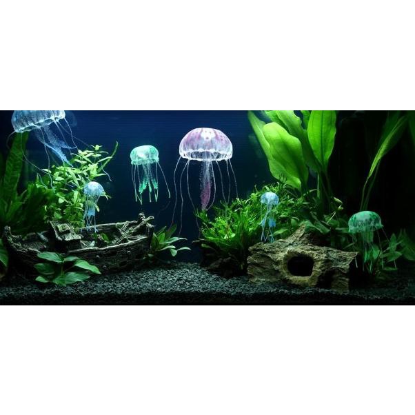Paket Aquascape - Aquascape Kit Paket Tanaman Starter Untuk Pemula