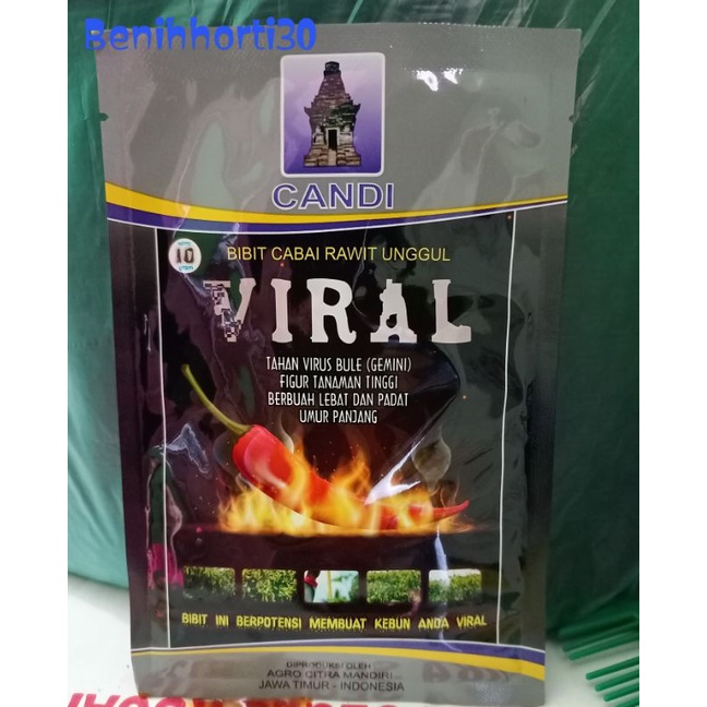 Benih Cabe Rawit Viral isi 10 gram