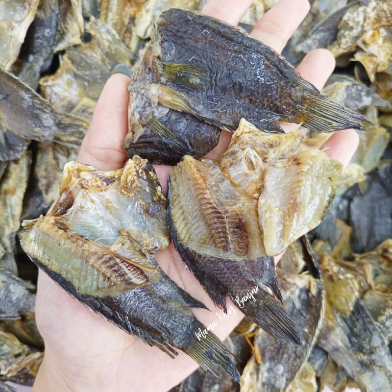 

Garih papuyu 500gr