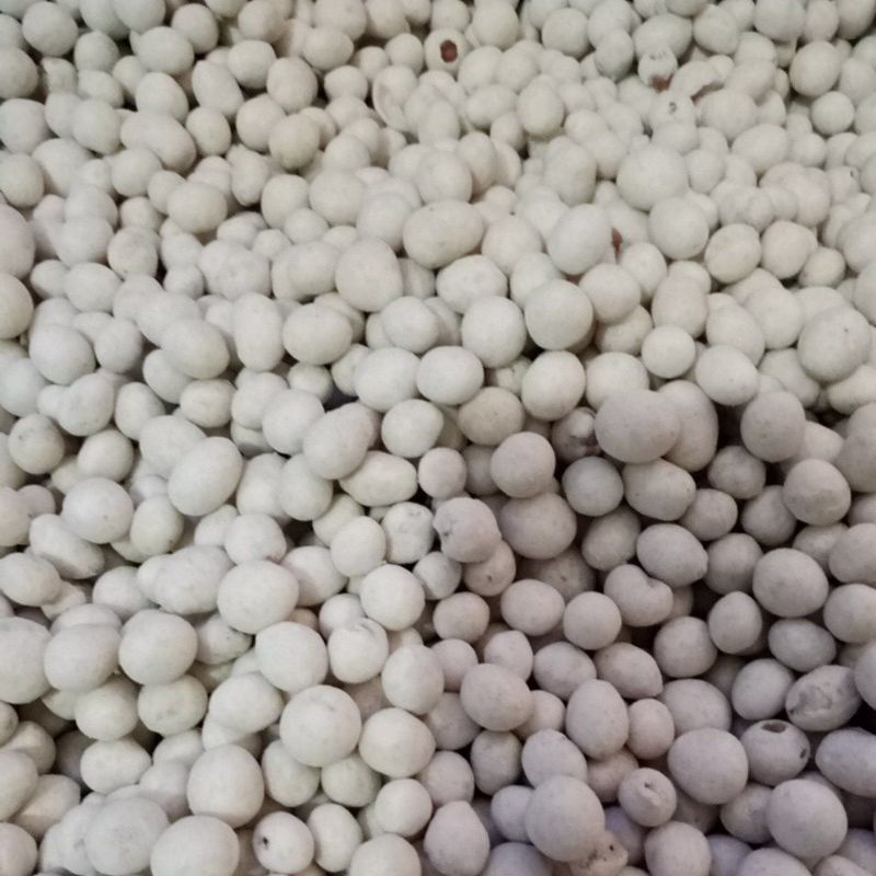 

(COD) Kacang Atom Sukro Kiloan 125gram/snack kiloan/Makanan ringan