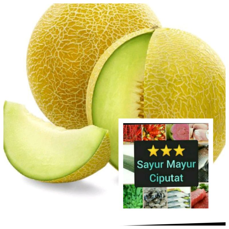 

melon hijau perbuah