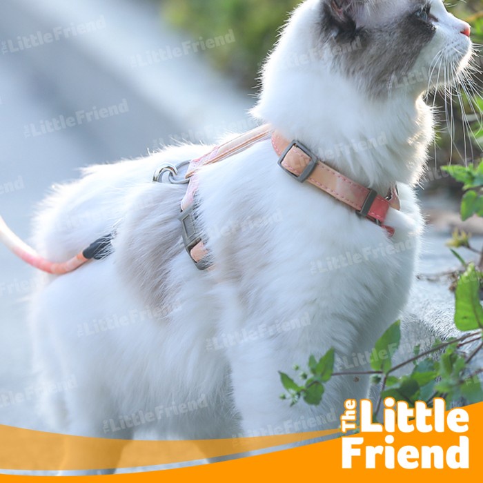 Tali Tuntun Leash Body Harness Tipe H Kucing Anjing Anti Break Strap