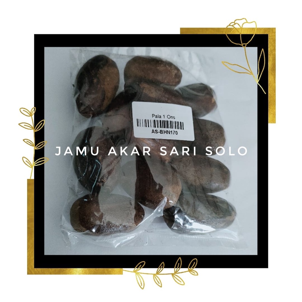 Jamu Akar Sari - Pala Kocak 100 Gram - Polo Kocak - Biji Polo Kocak - Biji Pala - Untuk Anti Radang