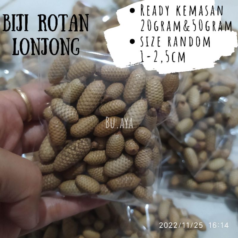 BK10 50gram Biji rotan lonjong bunga kering biji kolase bahan ringbox mahar rustik