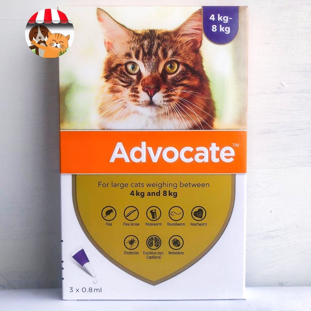 Advocate Cat 4kg-8kg Obat Kutu Kucing Obat Cacing Harga Per tube