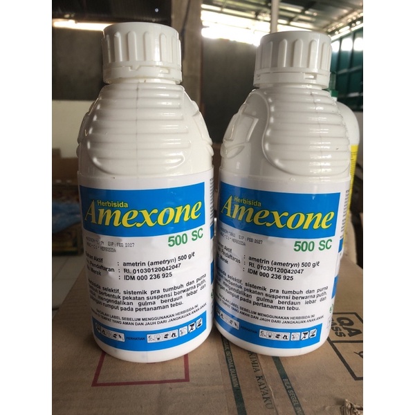 Amexone 500 SC 1 liter