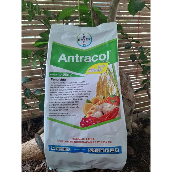 ANTRACOL 70WP 250GRAM