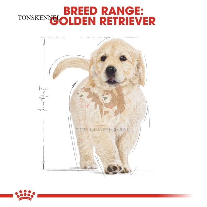 Royal Canin Golden Retriever Junior Puppy Makanan Anak Anjing Dry 12kg RC