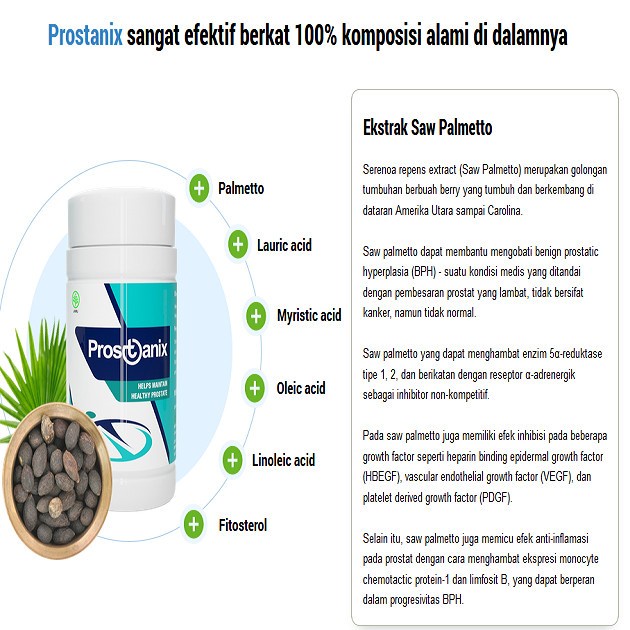 Prostanix Original Herbal  Prostat  Asli BPOM Paling Ampuh