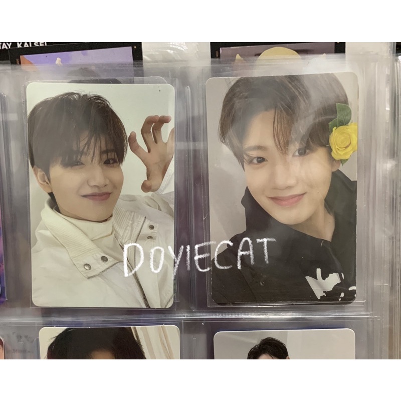 (baca deskripsi) pc junkyu maung bunga the second step chapter one treasure pair