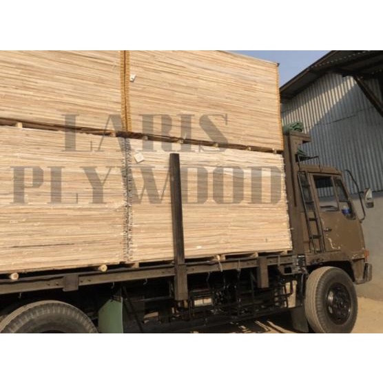 Triplek Palem 12mm / Multiplek Palem 12mm