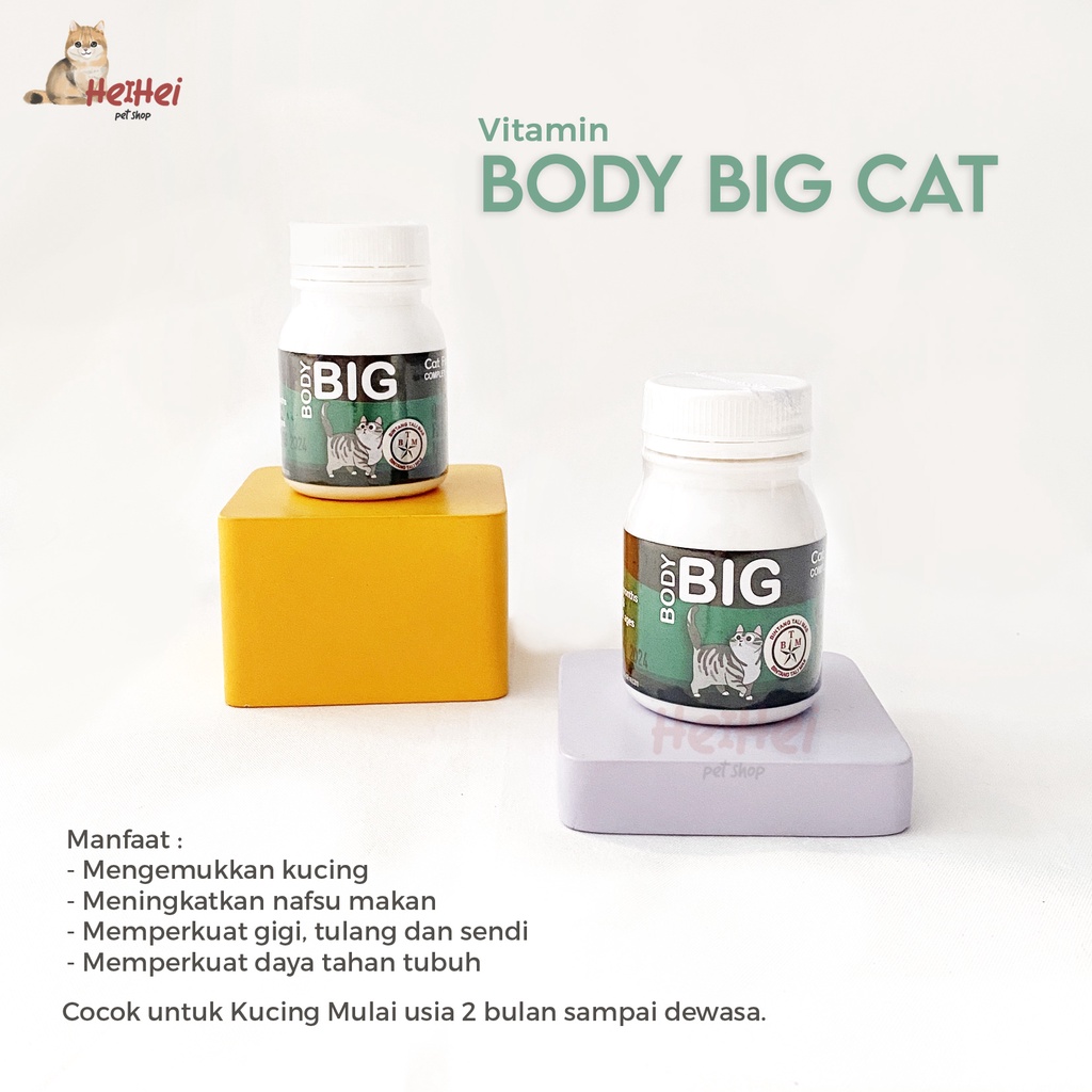 Body Big Cat Fattener Powder 50 gr - Vitamin Serbuk Penggemuk Kucing