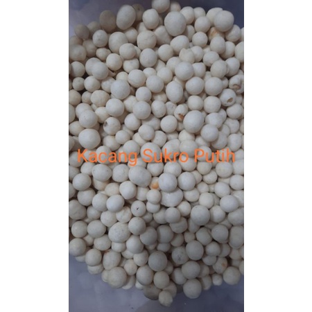 

Kacang Sukro Putih 500gr