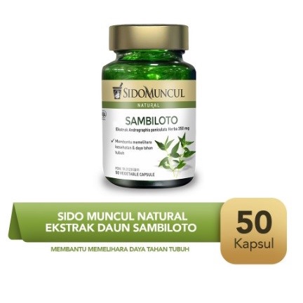 

SidoMuncul Natural Ekstrak Daun Sambiloto Kapsul ISI 50 / Untuk Daya Tahan Tubuh