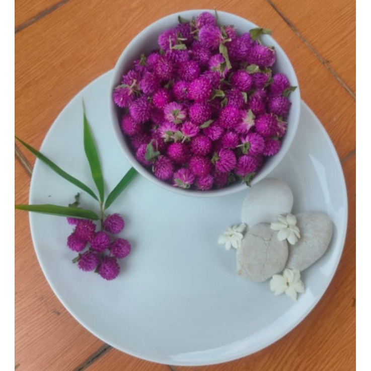 

Herbal Kenop Bunga Kering Globe Amaranth Minuman Teh Kesehatan Natural, organik petani asli murah tangan pertama alami 100gr