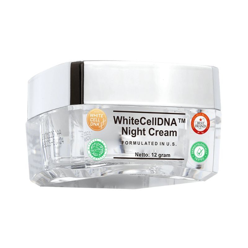 MS GLOW NIGHT CREAM | CREAM MALAM MS GLOW