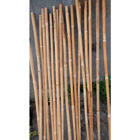 Toya wushu / Tongkat silat