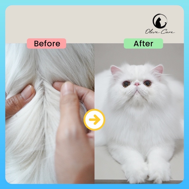 Olive Care Shampoo kucing 60ml Oil Free Degreaser untuk mengangkat minyak berlebih di bulu kucing