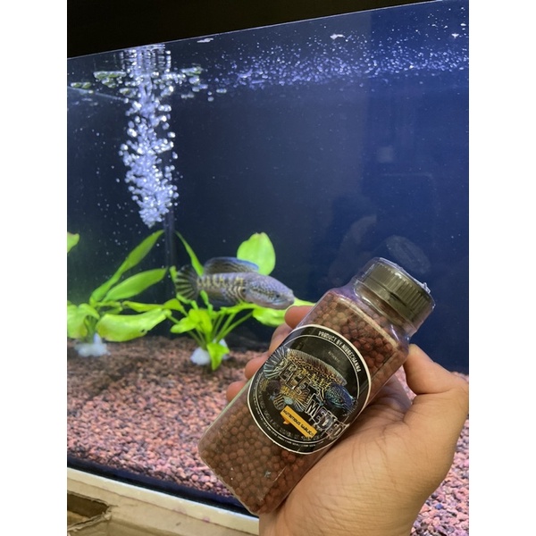 Pelet Meded Original dari Niobe Channa (sediaan repack) 10-30 gr