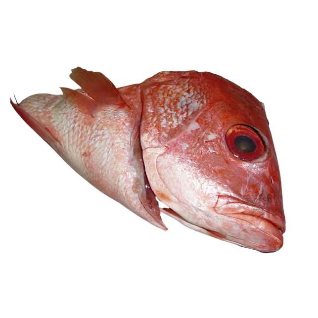 

Ikan Kepala Ikan Kakap Merah 100gr, Sameday Instan Delivery Jogja