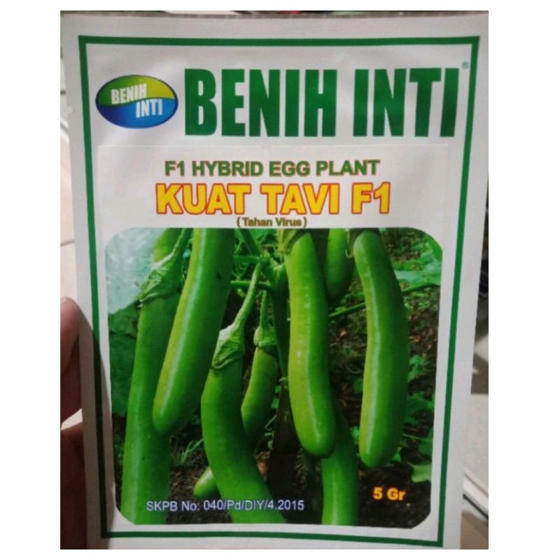 Benih Terong Hijau KUAT TAVI F1 Benih Inti 5Gr