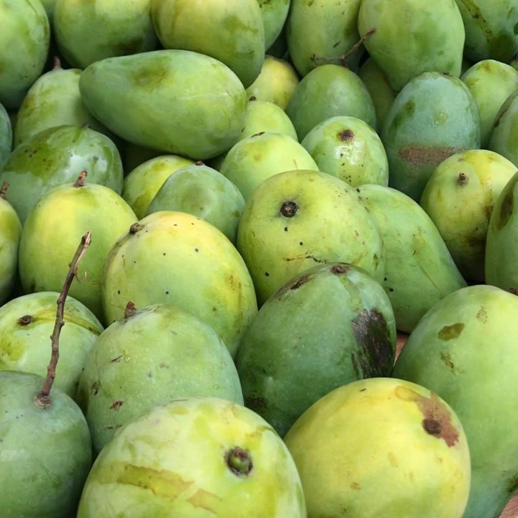 Mangga Harum Manis / Arumanis dan Cengkir 1kg Promo Buah Bandung | Asih Sadulur Mart