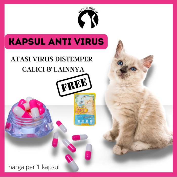 Kapsul Anti Virus Kucing - Obat Atasi Virus Distemper Calici Kucing