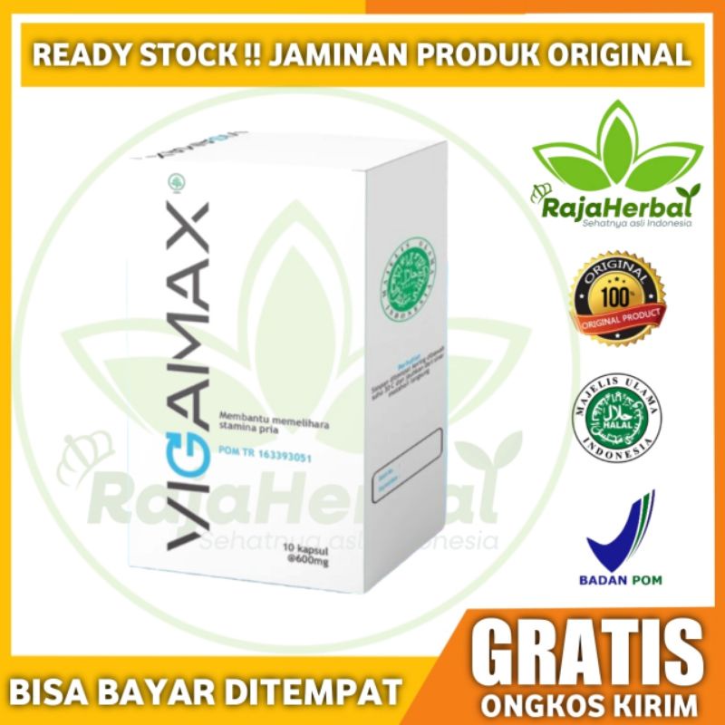 Vigamax Asli Original Suplemen Penunjang Performa Pria / Obat Kuat