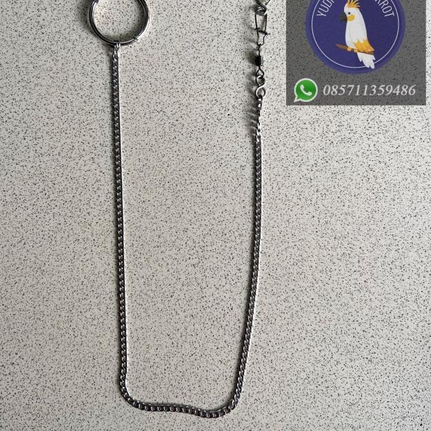 Rantai Rante Burung Falk Betet Sun Conure