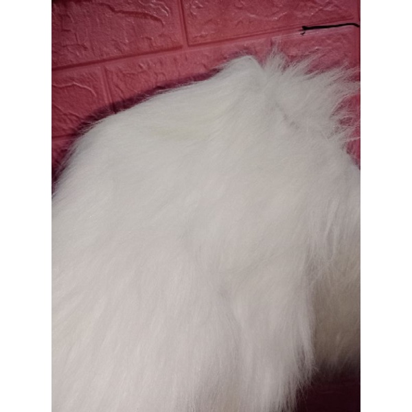 alas foto bulu putih /alas foto rasfur