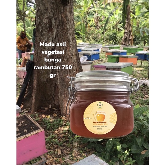 

madu asli raw honey nektar bunga rambutan 750 gr