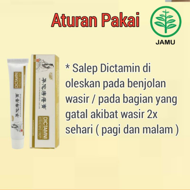 ‼️READY‼️SALEP DICTAMNI Huatuo SALEP AMBEIEN SALEP WASIR/HEMORRHOIDS CREAM/ obat wasir obat ambeyen obat ambeien