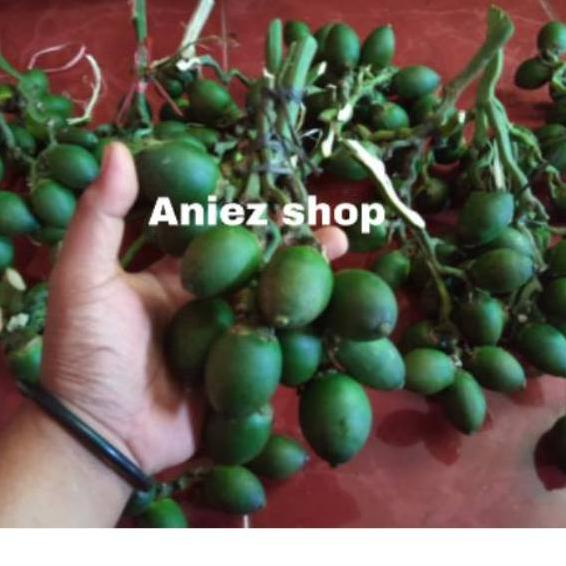 

ゼ Buah pinang segar/Jambe muda segar alami ㅖ