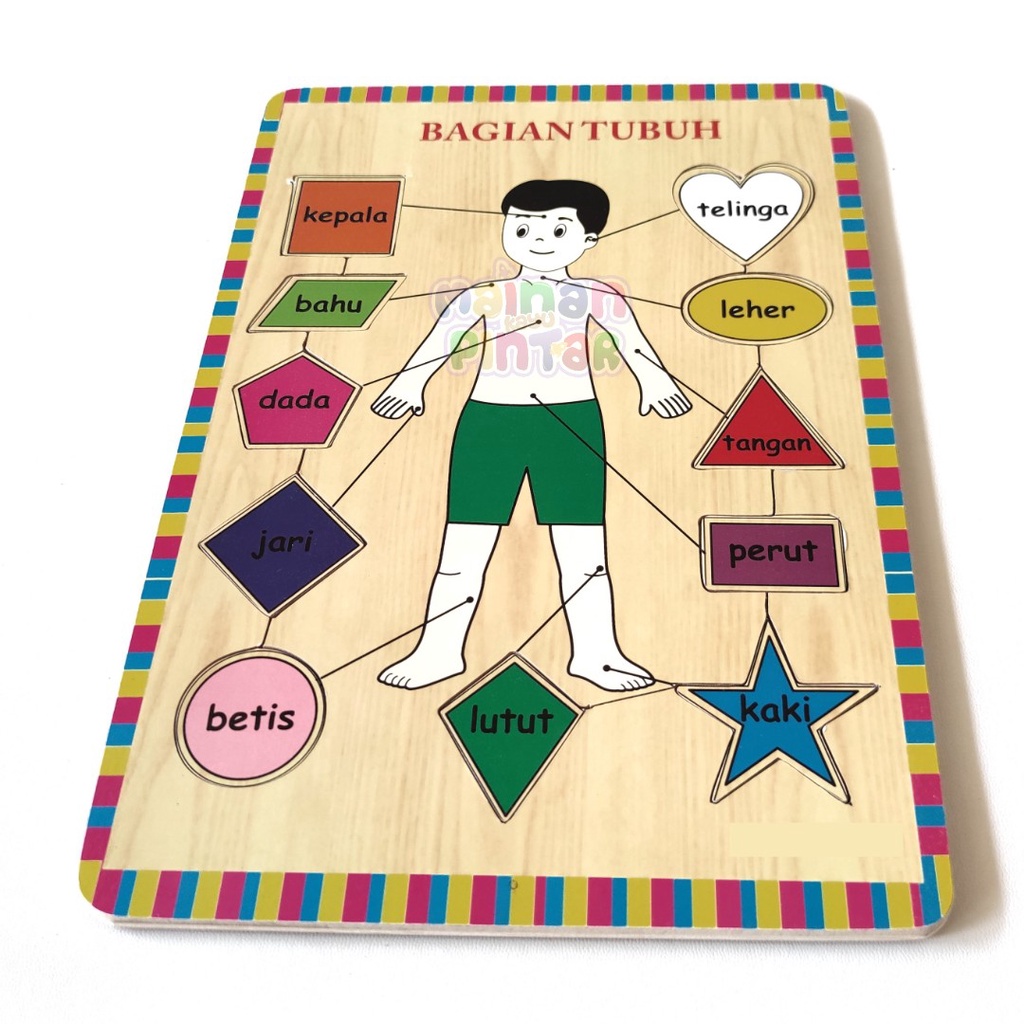 Puzzle Kayu Bongkar Pasang Gambar Bagian Tubuh Sertifikat SNI