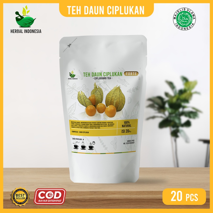 

ATASI MATA MINUS DAN KATARAK NO 1 AMPUH !!! Teh Herbal Celup Ciplukan Original Asli Obat Atasi Mata Minus Katarak Mata Merah Penglihatan Buram Rabun Jauh 100% Herbal Alami